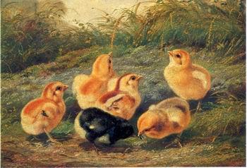 unknow artist chickens 196